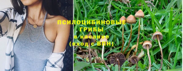 таблы Алзамай