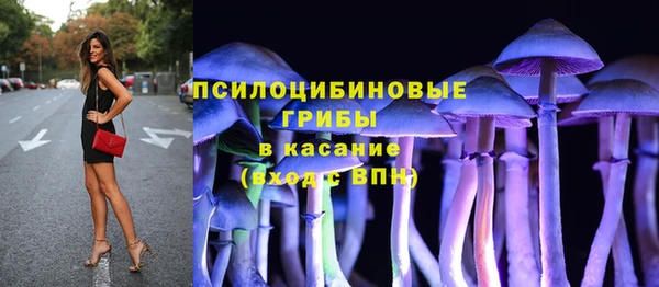 таблы Алзамай